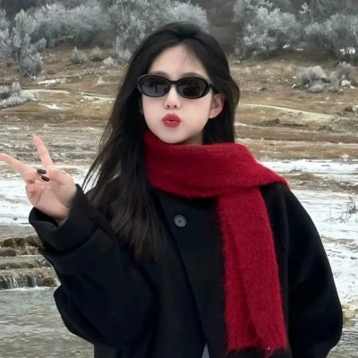 向政府说不